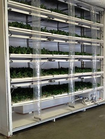 greenix panels vertical farming